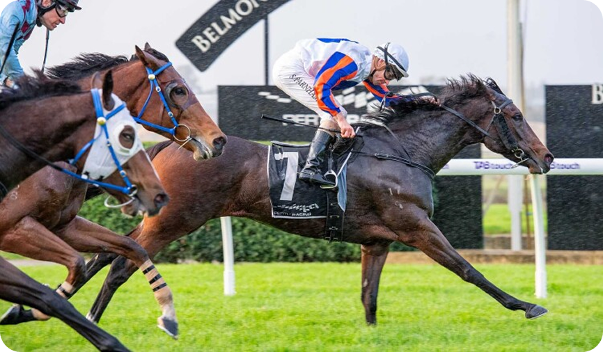 Horse racing photo 20